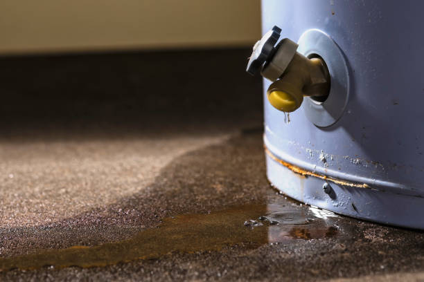 Best Water damage mitigation services  in Mauldin, SC