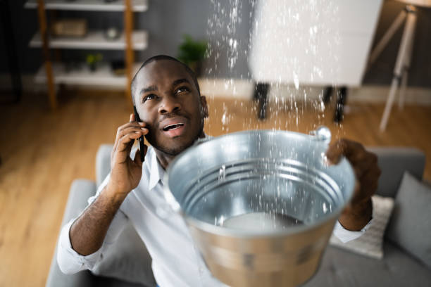 Best Water damage cleanup near me  in Mauldin, SC