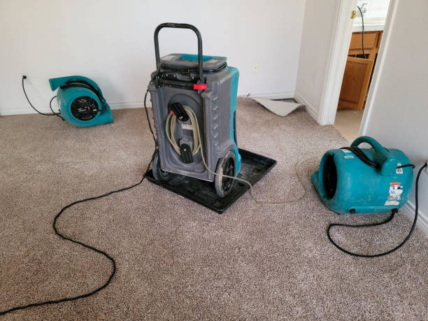 Best Flood damage cleanup  in Mauldin, SC