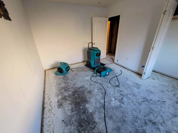 Best Water damage cleanup near me  in Mauldin, SC
