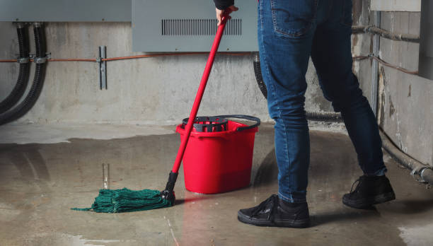 Best Water damage restoration company  in Mauldin, SC