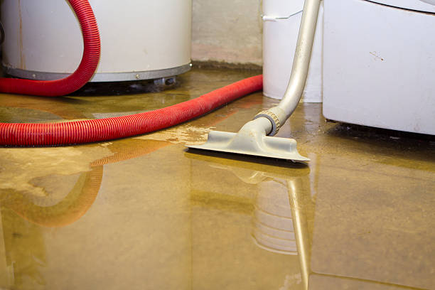Best Residential water damage restoration  in Mauldin, SC