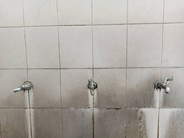 Best Carpet water damage restoration  in Mauldin, SC